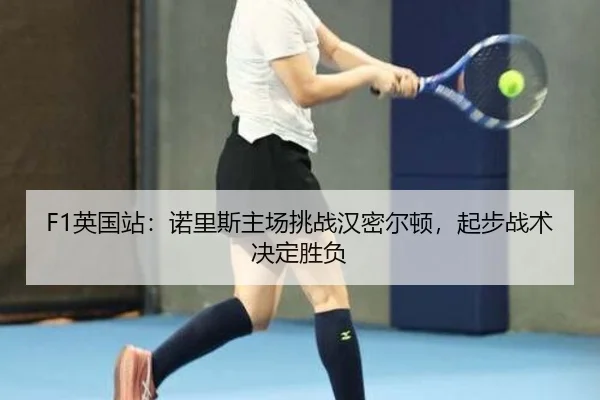 ying-guo-zhan-nuo-li-si-zhu-chang-tiao-zhan-han-mi-er-dun-qi-bu-zhan-shu-jue-ding-sheng-fu-2-761.jpg