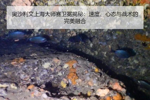 奥沙利文上海大师赛卫冕揭秘：速度、心态与战术的完美融合