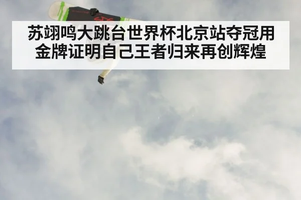 苏翊鸣大跳台世界杯北京站夺冠用金牌证明自己王者归来再创辉煌